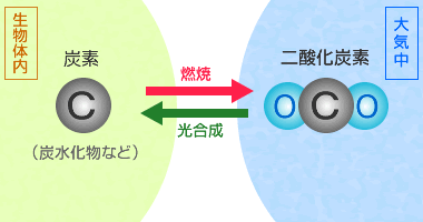 炭素は酸素２つと手を結ぶと二酸化炭素になる