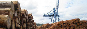 木材輸出系データ