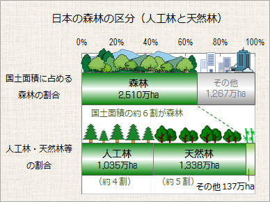 日本の森林区分（人工林・天然林）のグラフ