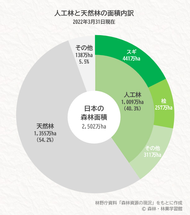 人工林と天然林の面積内訳