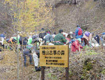 檜山古事の森