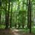 �X�сE�ыƃ~�j�N�C�Y