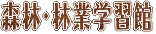 �X�сE�ыƊw�K��