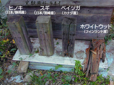野ざらし4年後、ホワイトウッドはすでにボロボロ