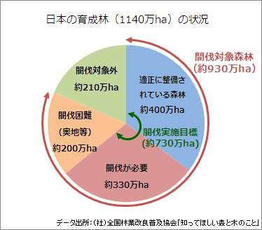 どれだけ間伐すればよいのか