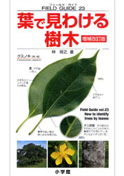 葉で見わける樹木 〔増補改訂版〕