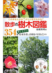 散歩の樹木図鑑 354