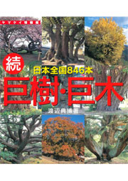続 巨樹・巨木 