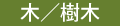 身近な木