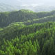 福島の森林利用と文化の再構築に向けてのイメージ
