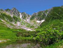 木曽駒ヶ岳の森林生態系保護地域