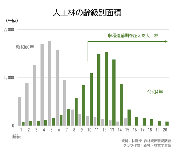 高齢化が進む日本の森林　育成林（人工林）の齢級別面積（林齢別面積）のグラフ