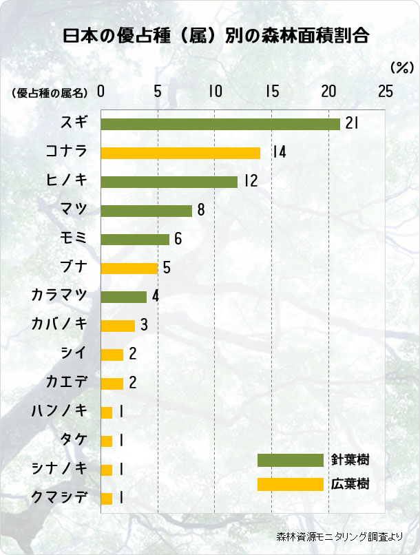 針葉樹林と広葉樹林 混交林