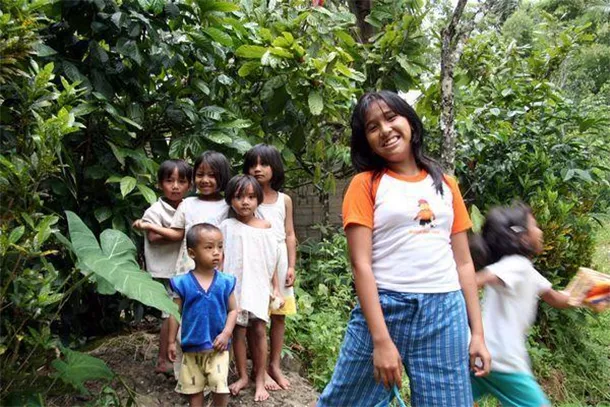 熱帯雨林の子供たち
