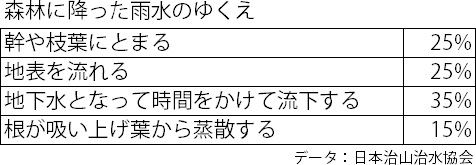 森林に降った雨水のゆくえ