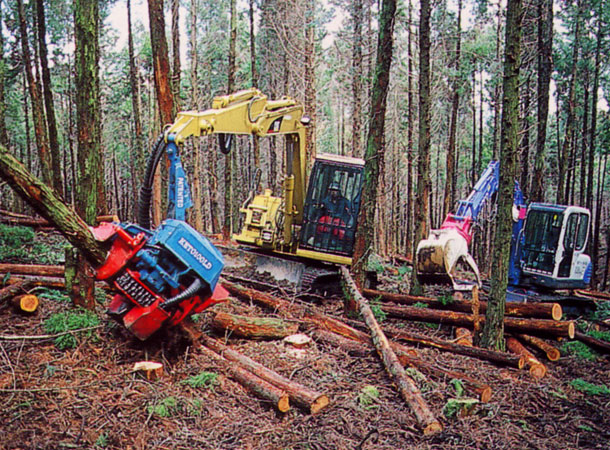 機械による森林伐採
