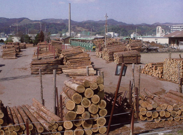 原木市場の写真