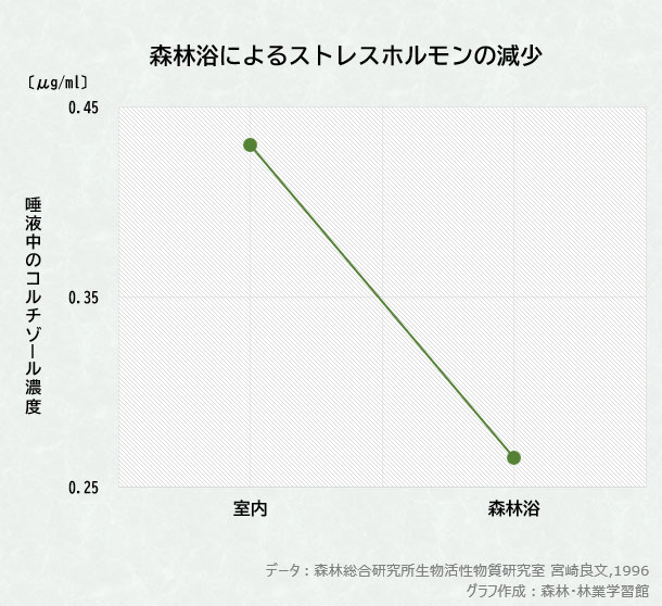 森林浴によるストレスホルモンの減少