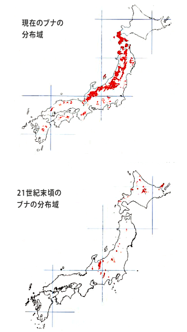 日本のブナ林の分布予想図