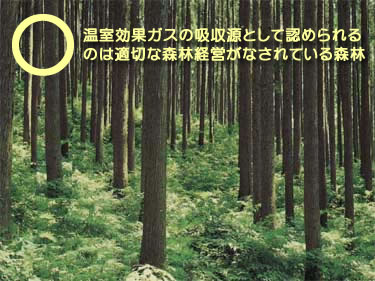 京都議定書で吸収量にカウントできるのは管理された森林