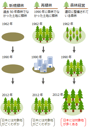 Co2吸収源としてカウントできる森林 カウントできない森林