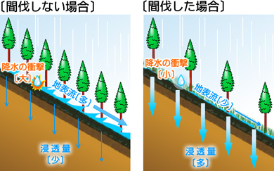 間伐の有無による地表のイメージ図