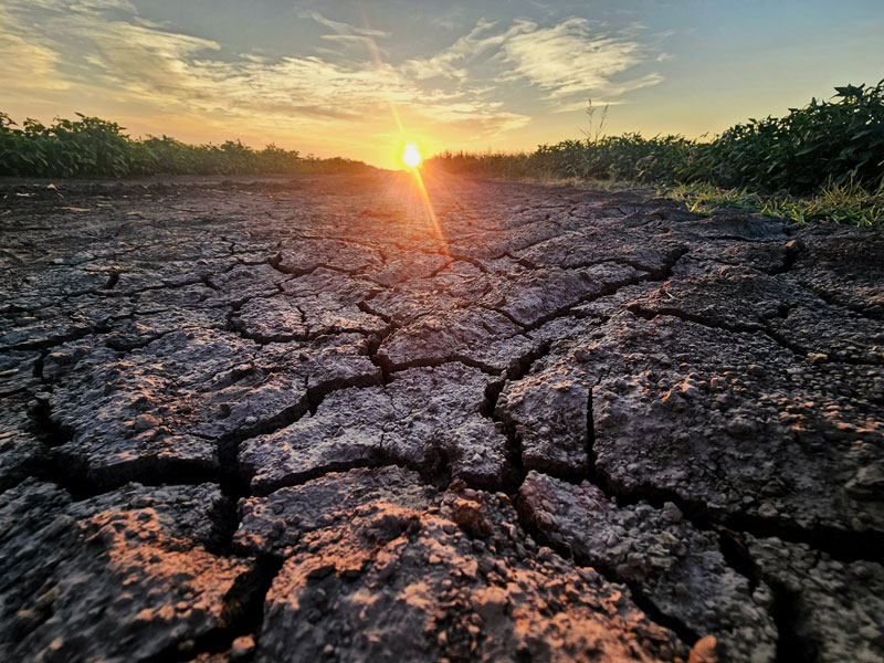 エルニーニョ現象 地球規模で影響を及ぼす海と大気の変動現象の写真