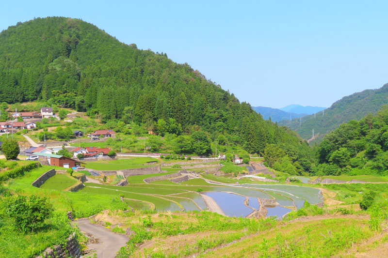 里山 人の暮らしと自然が共存する山や森の写真