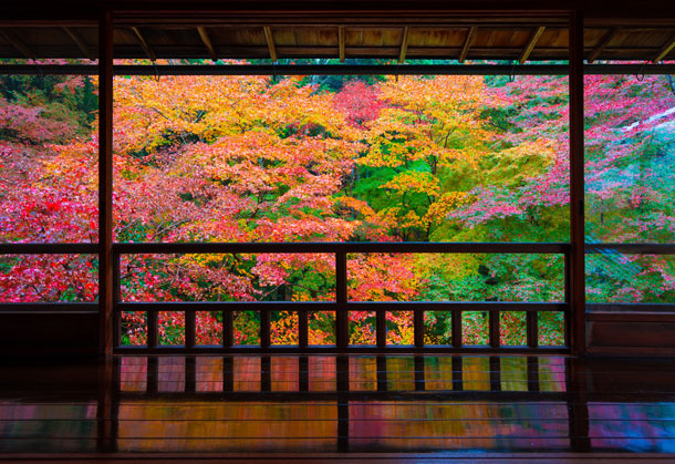 秋の瑠璃光院（京都）