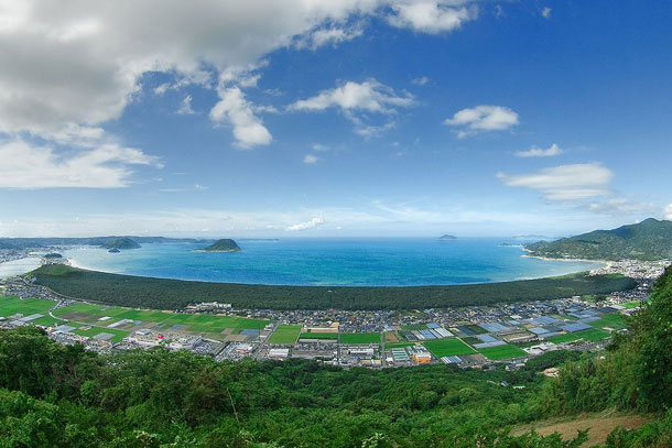 浦富海岸 松の木の写真素材 53944611 Pixta