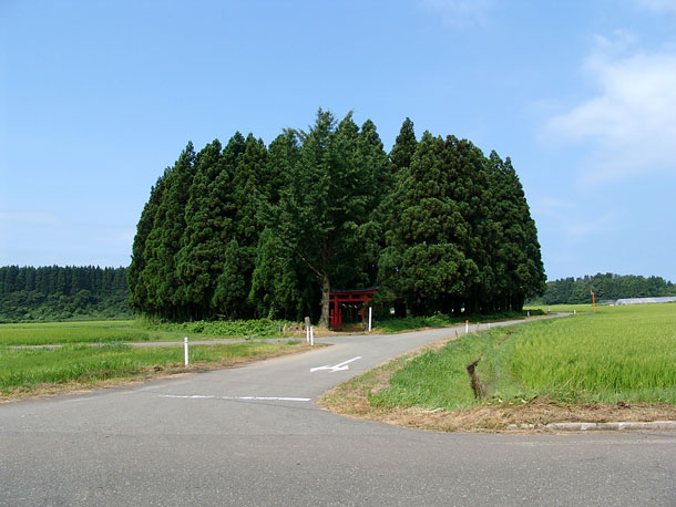 鎮守の森