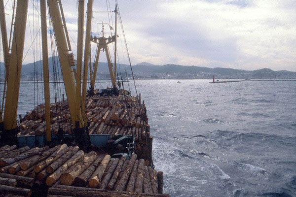 木材を輸入する船